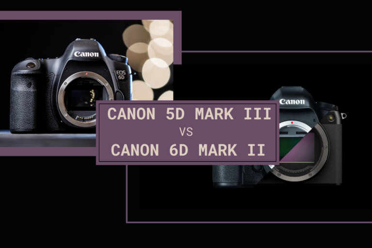 comparison between Canon 5D Mark III vs Canon 6D Mark II